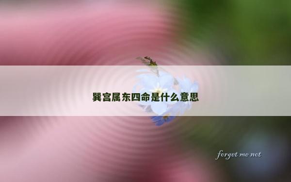 巽宮屬東四命是什么意思
