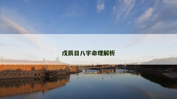 戊辰日八字命理解析