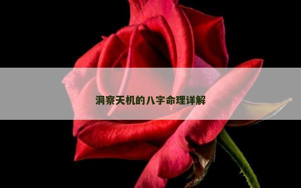 洞察天機的八字命理詳解