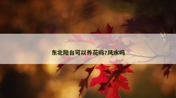 東北陽臺可以養(yǎng)花嗎?風(fēng)水嗎