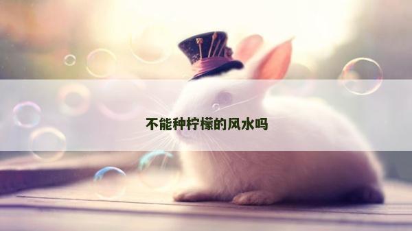 不能種檸檬的風(fēng)水嗎