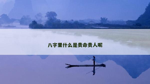 八字里什么是貴命貴人呢