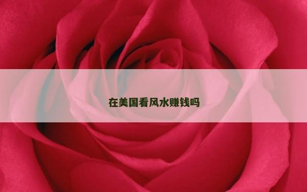 在美國看風水賺錢嗎