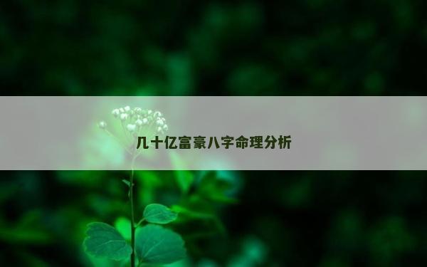 幾十億富豪八字命理分析 幾十億富豪八字命理分析
