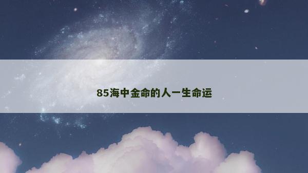 85海中金命的人一生命運