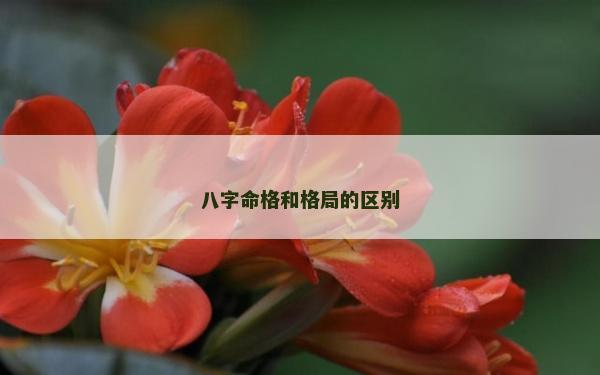 八字命格和格局的區別