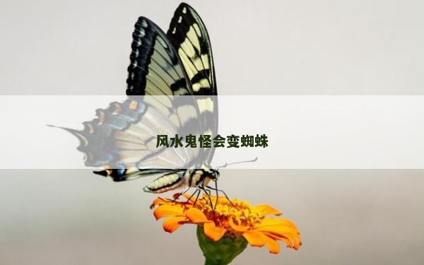 風水鬼怪會變蜘蛛