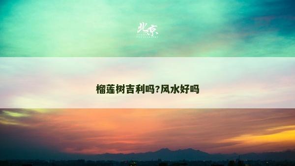榴蓮樹吉利嗎?風(fēng)水好嗎
