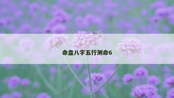 命盤八字五行測命6