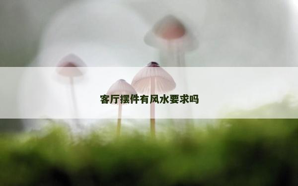客廳擺件有風水要求嗎
