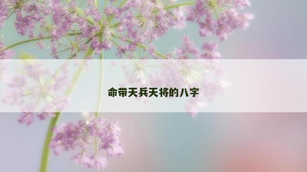 命帶天兵天將的八字