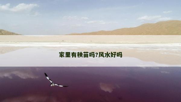 家里有秧苗嗎?風(fēng)水好嗎