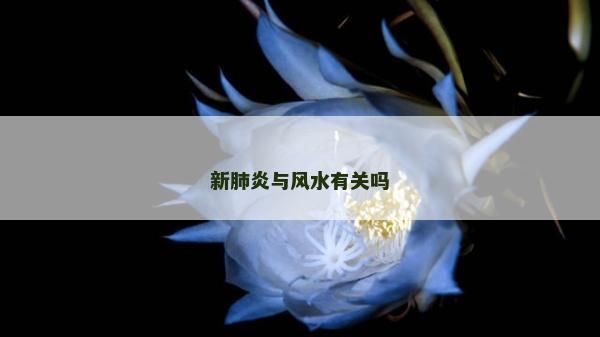 新肺炎與風水有關嗎