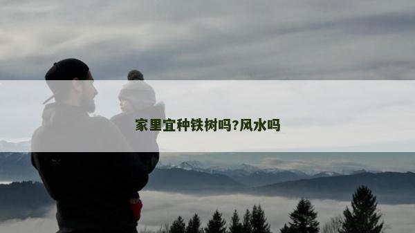 家里宜種鐵樹嗎?風(fēng)水嗎