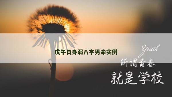 戊午日身弱八字男命實例 戊午日身弱八字男命實例