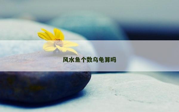 風(fēng)水魚個(gè)數(shù)烏龜算嗎