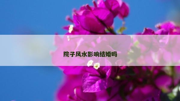 院子風(fēng)水影響結(jié)婚嗎