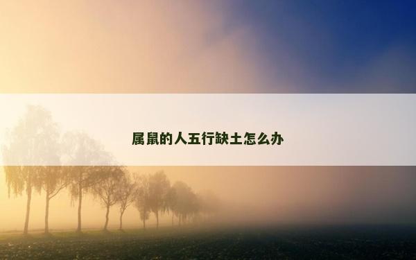 屬鼠的人五行缺土怎么辦
