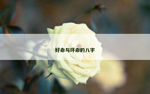 好命與壞命的八字
