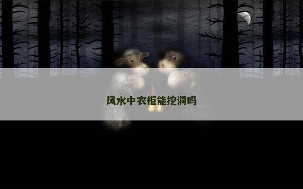 風水中衣柜能挖洞嗎