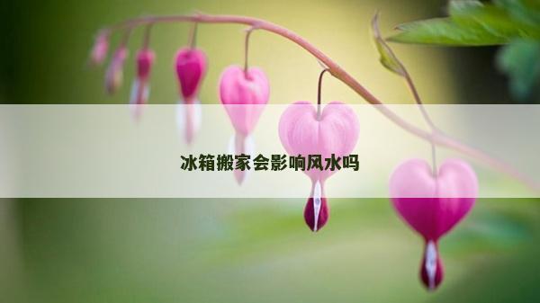 冰箱搬家會影響風水嗎