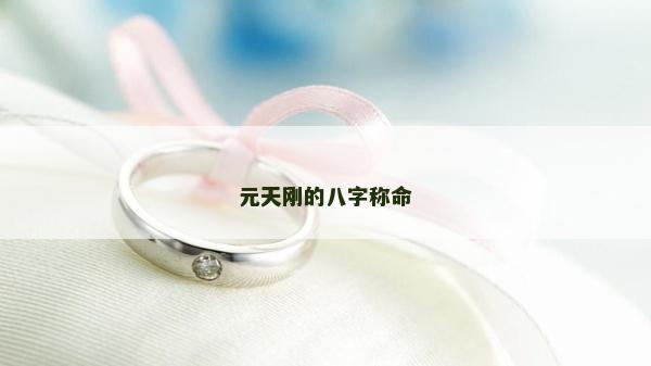元天剛的八字稱命