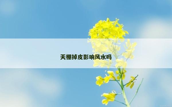 天棚掉皮影響風水嗎