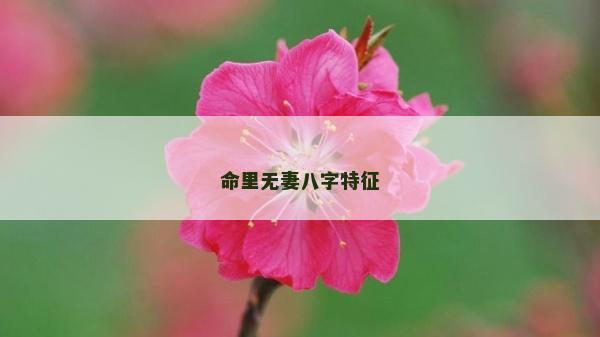 命里無妻八字特征
