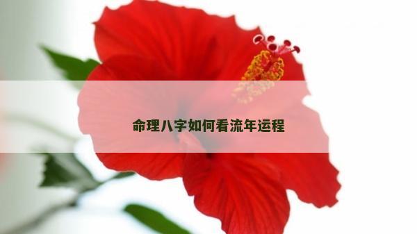 命理八字如何看流年運程