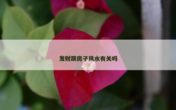 發財跟房子風水有關嗎