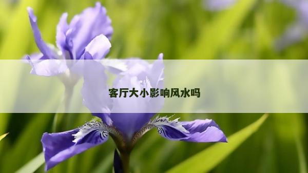 客廳大小影響風水嗎