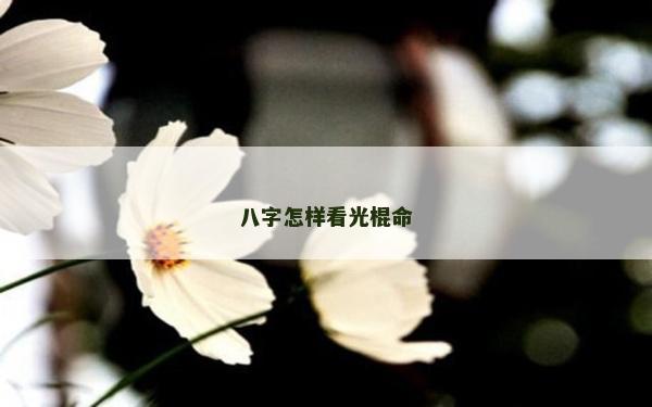 八字怎樣看光棍命