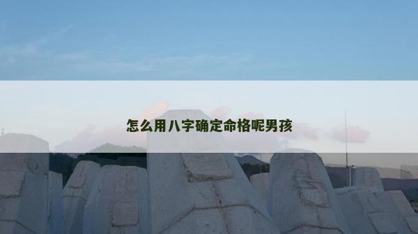 怎么用八字確定命格呢男孩 怎么用八字確定命格呢男孩