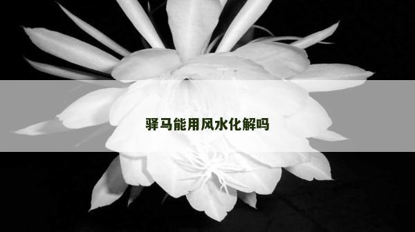 驛馬能用風水化解嗎