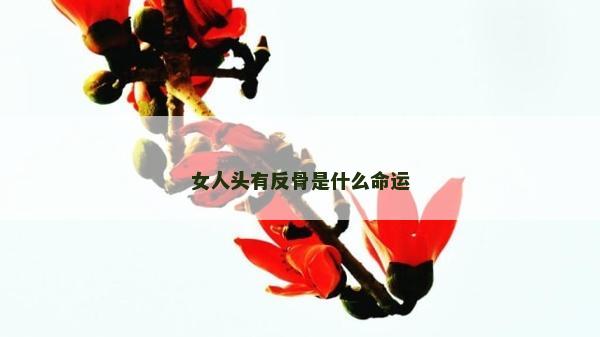 女人頭有反骨是什么命運