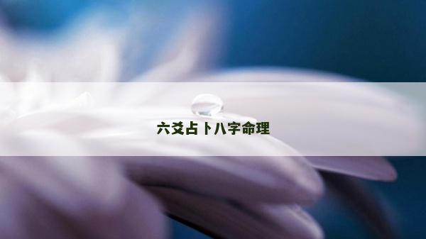 六爻占卜八字命理 六爻占卜八字命理