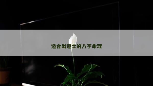 適合出道士的八字命理