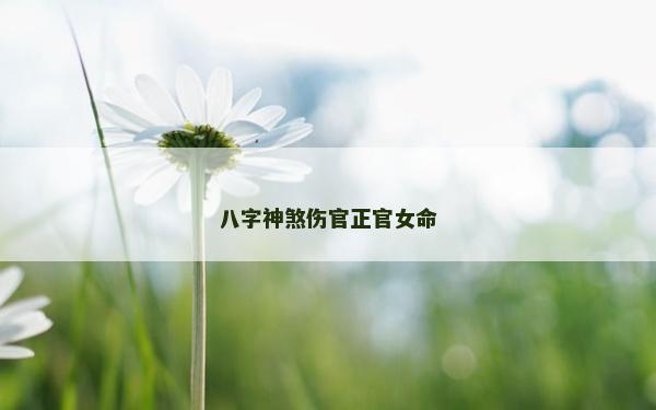 八字神煞傷官正官女命