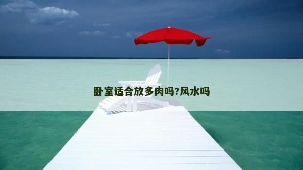 臥室適合放多肉嗎?風水嗎 臥室適合放多肉嗎?風水嗎