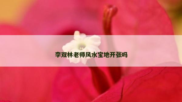 李雙林老師風水寶地開張嗎