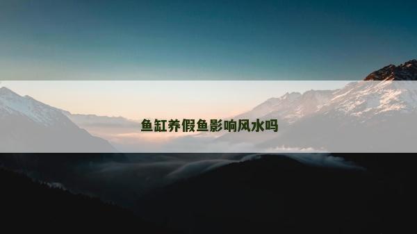 魚(yú)缸養(yǎng)假魚(yú)影響風(fēng)水嗎