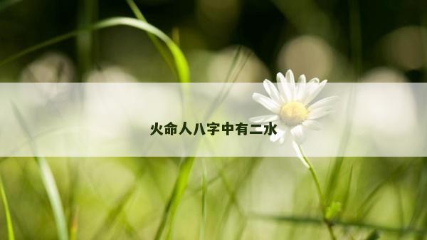 火命人八字中有二水