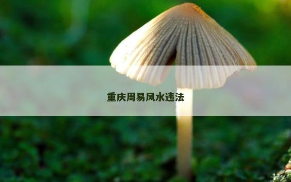 重慶周易風水違法