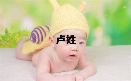 盧姓取名有氣質的男寶寶名字