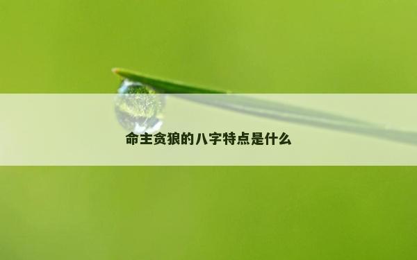 命主貪狼的八字特點是什么