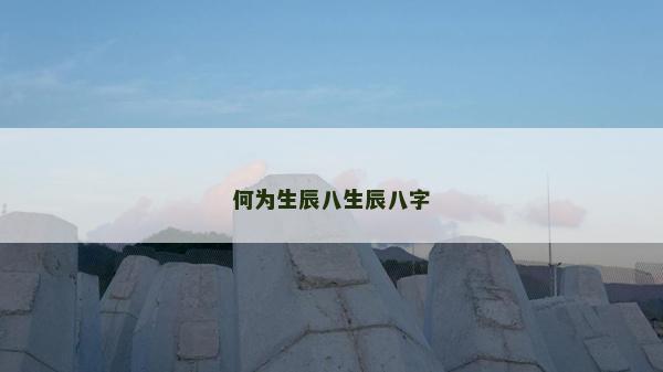 何為生辰八生辰八字