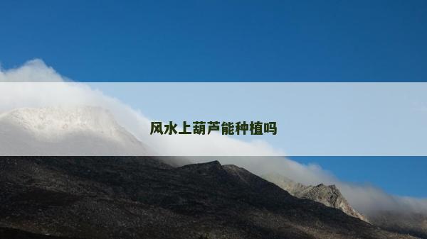 風水上葫蘆能種植嗎