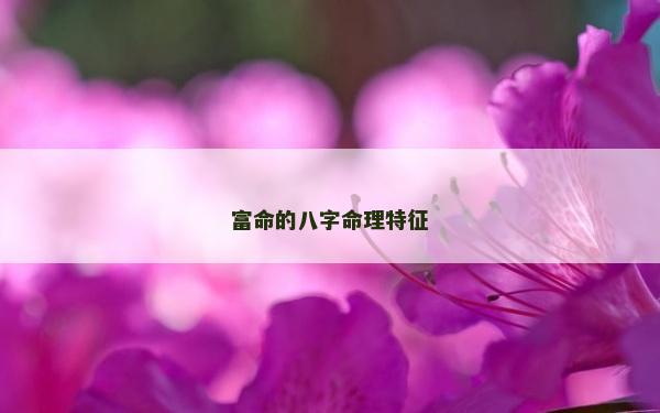富命的八字命理特征