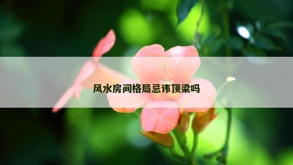 風水房間格局忌諱頂梁嗎