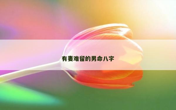 有妻難留的男命八字 有妻難留的男命八字
